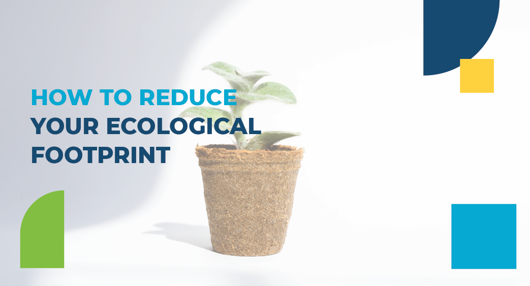 How to reduce your ecological footprint