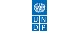 UNDP (255x100)